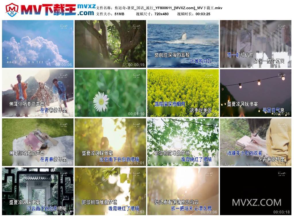 焦迈奇-暑夏_国语_流行_YF800611